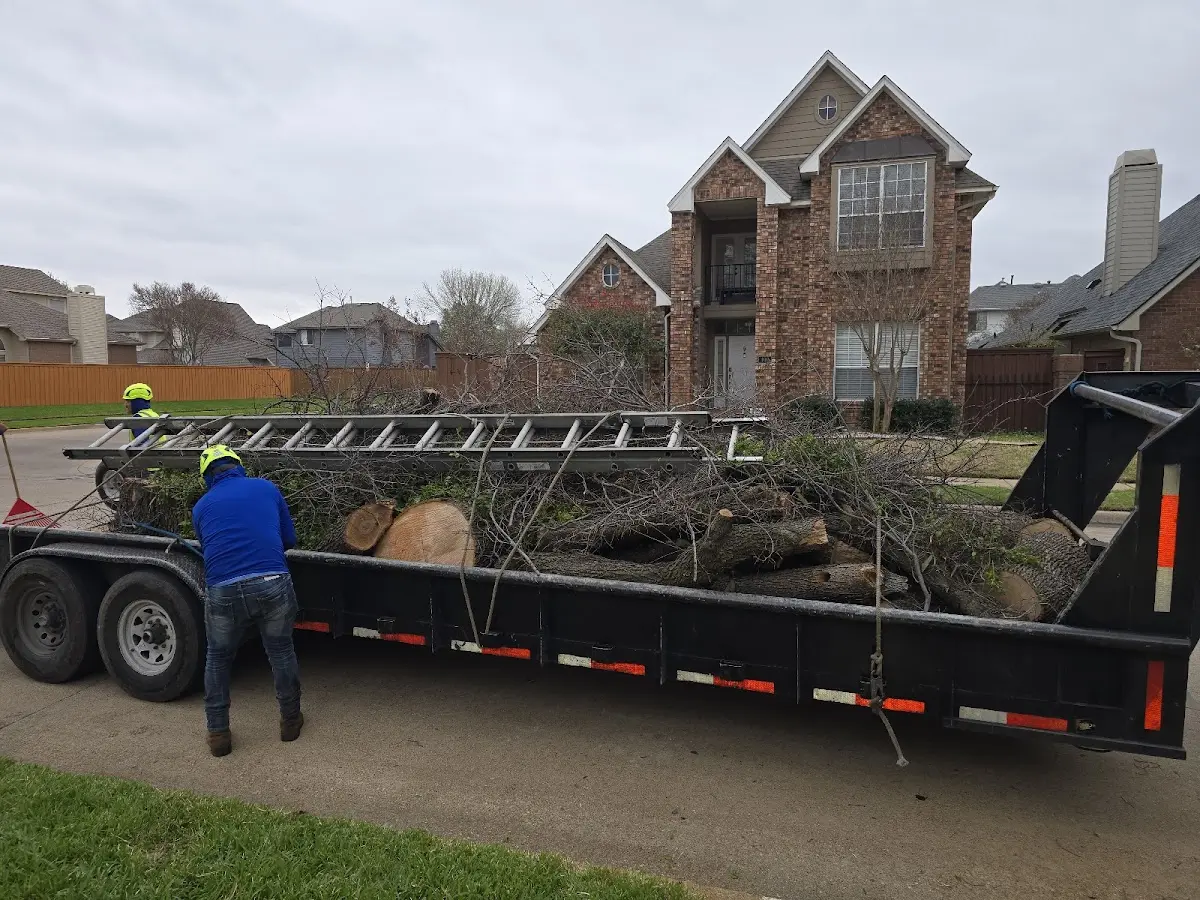 Expert Tree Fertilization with proper safety equipment in Peever